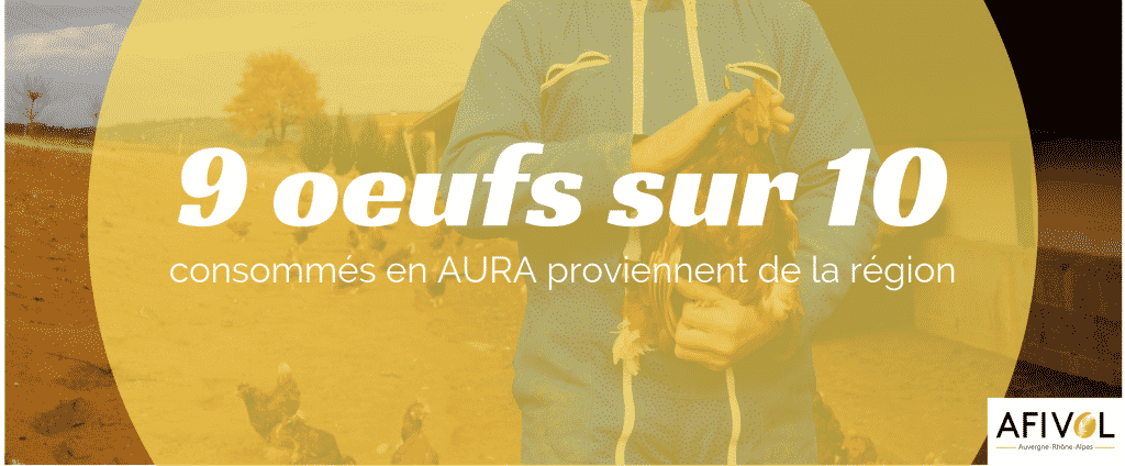 Conso Oeufs AURA