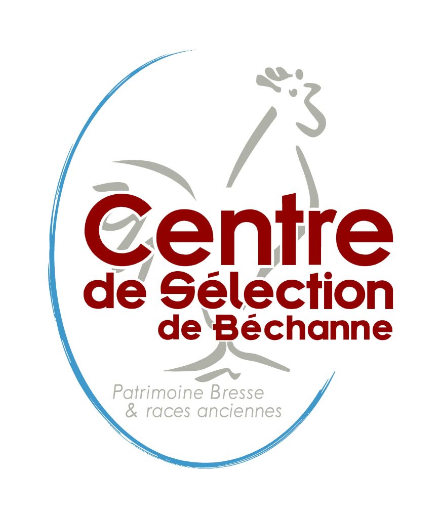 logo CSB 2014