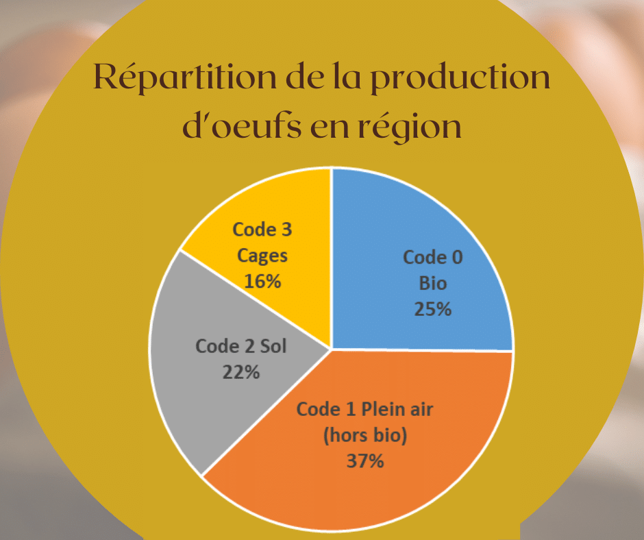 Répartition prod oeufs