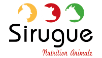 Sirugue